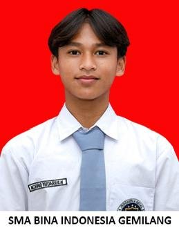 AHMAD SULTHON AULIYA